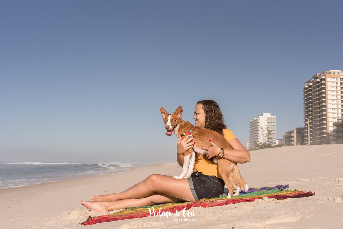 Ensaio pet na Praia do Pepê Barra da Tijuca com o Tico e sua tutora