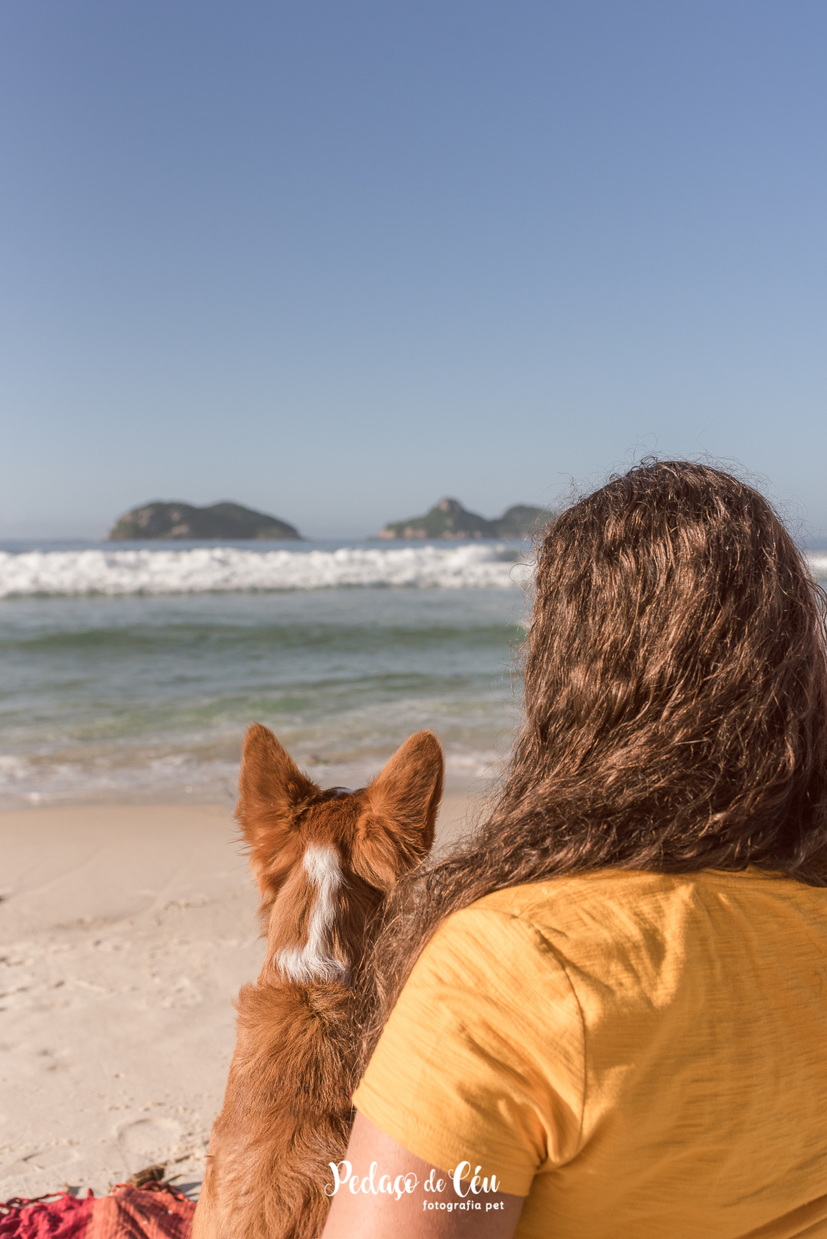 Ensaio pet na Praia do Pepê Barra da Tijuca com o Tico e sua tutora