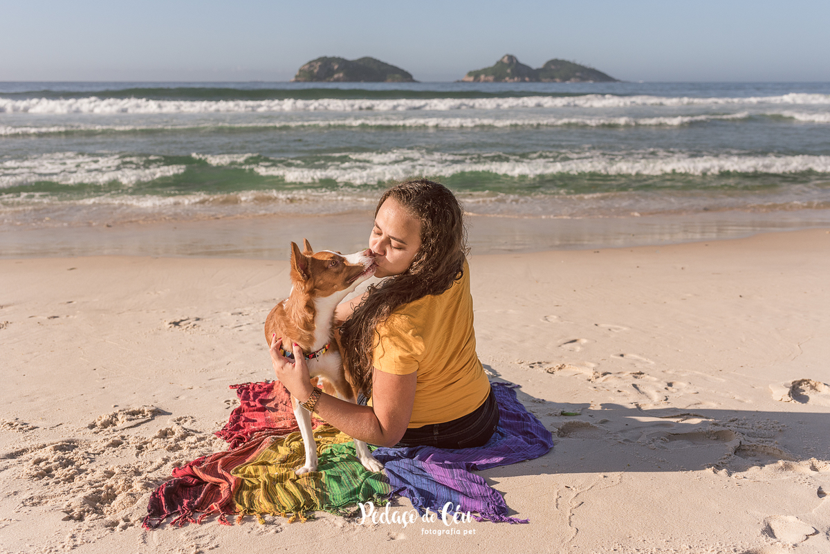 Ensaio pet na Praia do Pepê Barra da Tijuca com o Tico e sua tutora