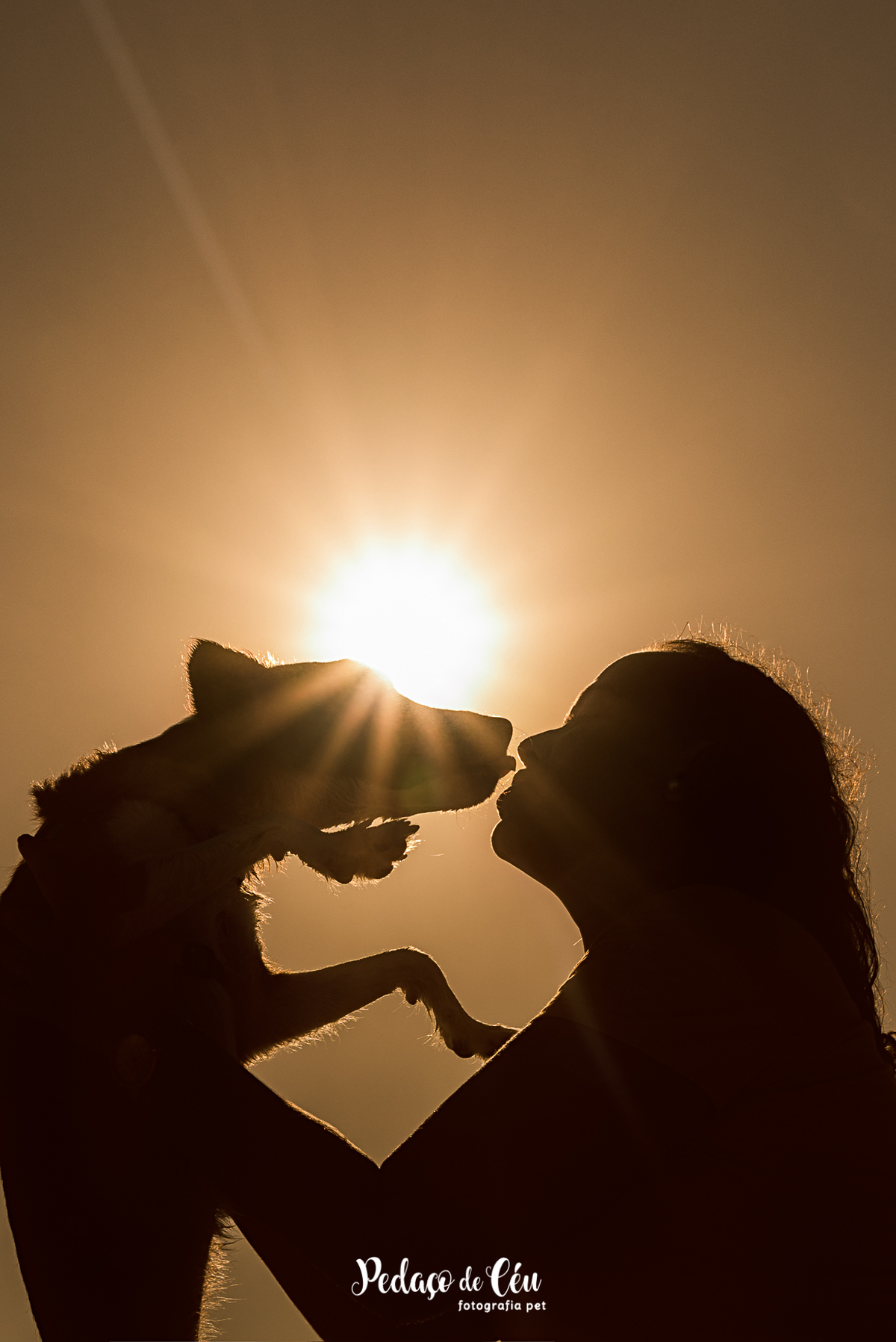 Ensaio pet na Praia do Pepê Barra da Tijuca com o Tico e sua tutora