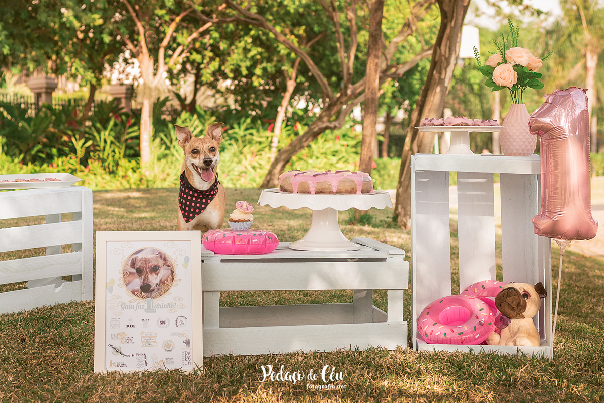 Gaia 1 ano Smash The Cake