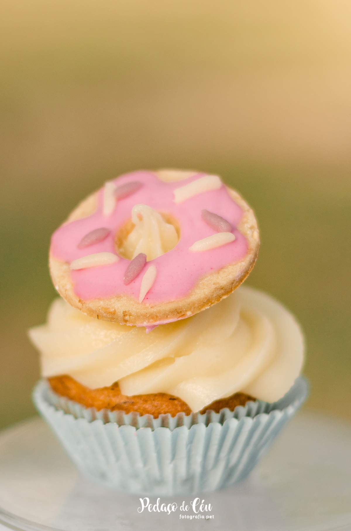 Gaia 1 ano Smash The Cake