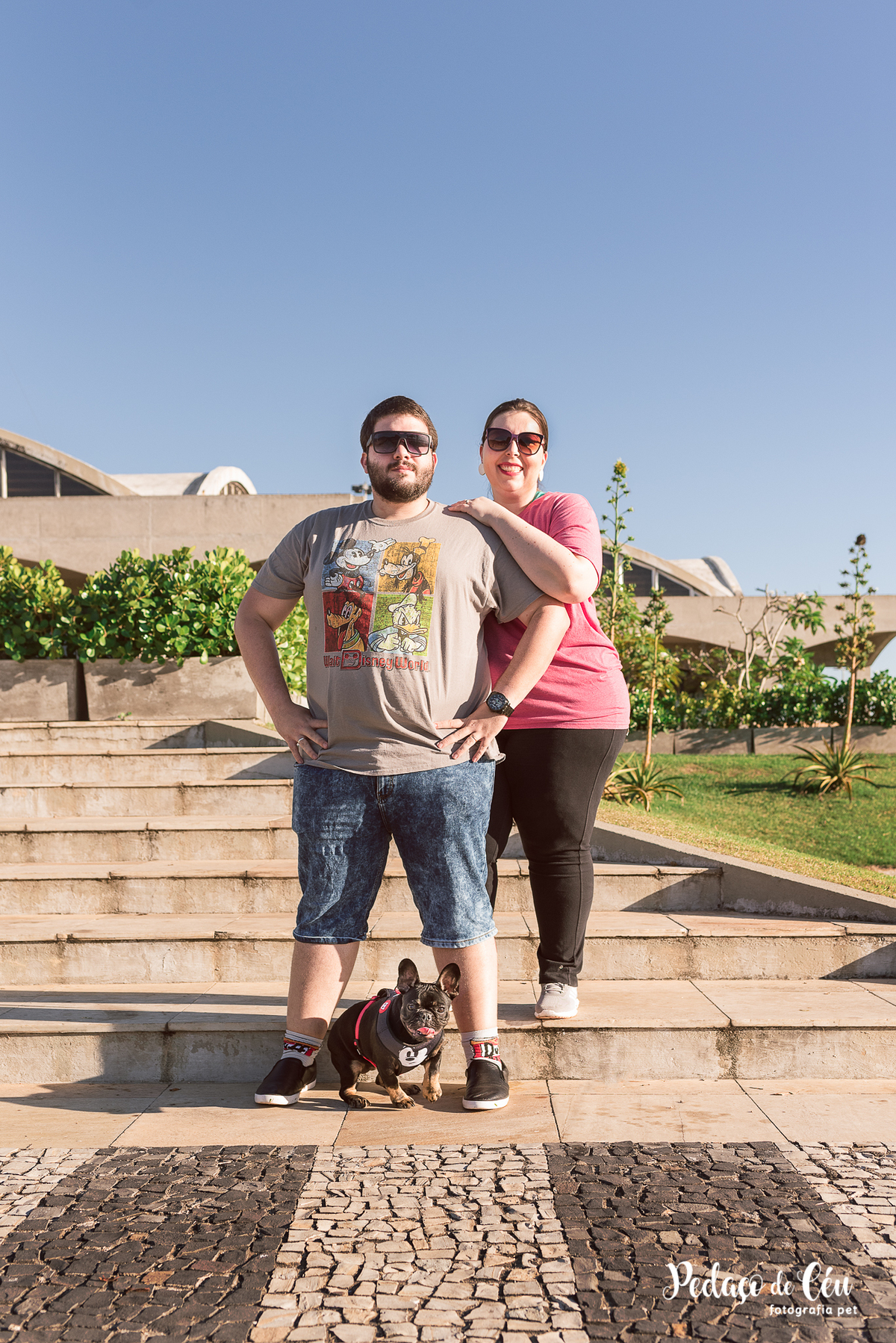 ensaio acompanhamento pet no Aterro do Flamengo