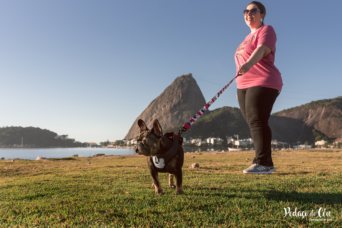 ensaio acompanhamento pet no Aterro do Flamengo