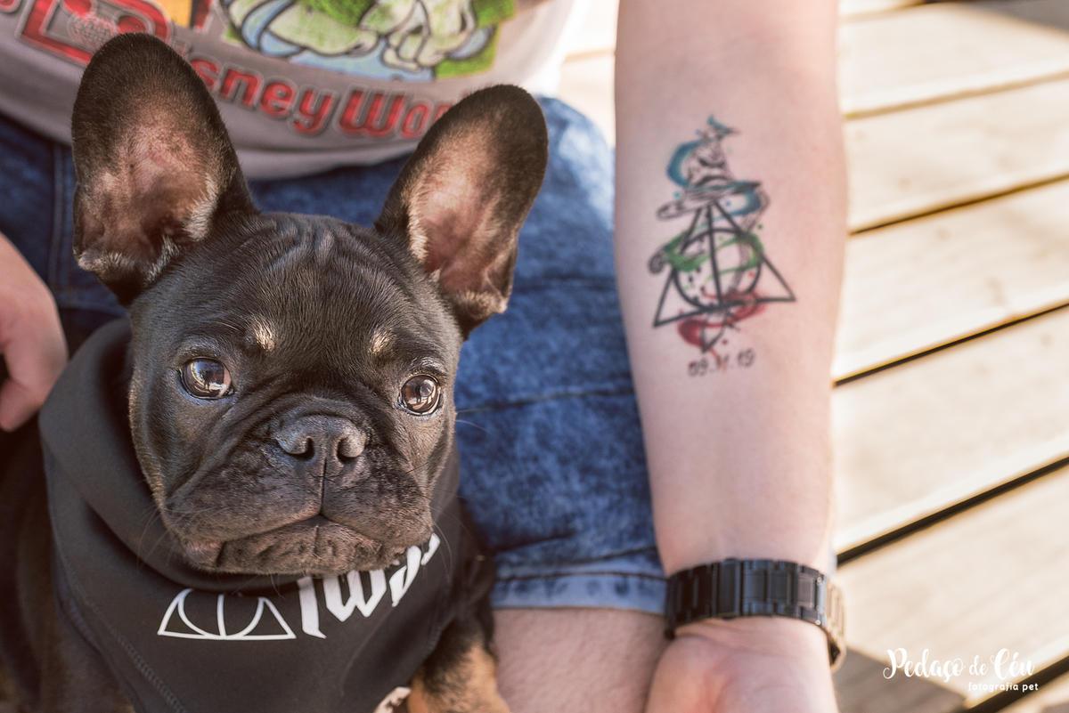 ensaio acompanhamento pet no Aterro do Flamengo