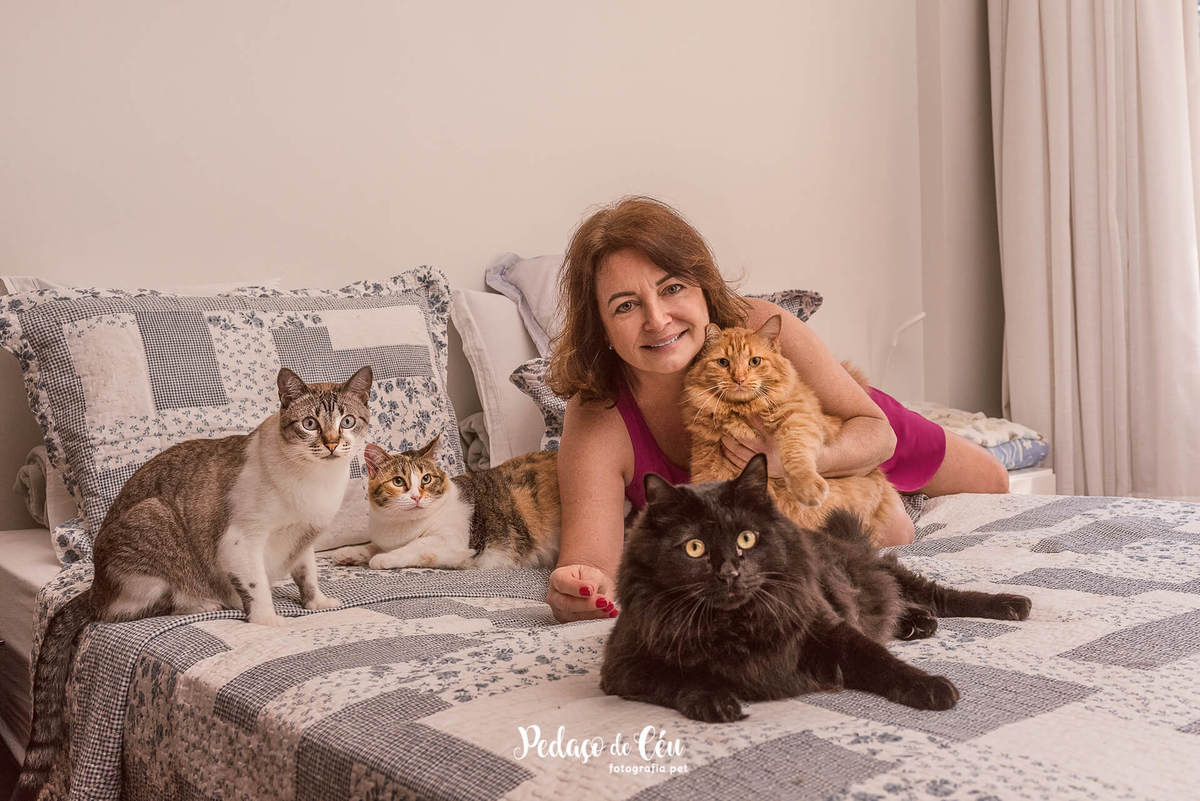 Ensaio pet com gatos