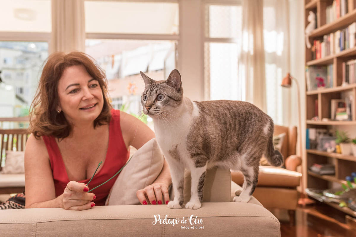 Ensaio pet com gatos