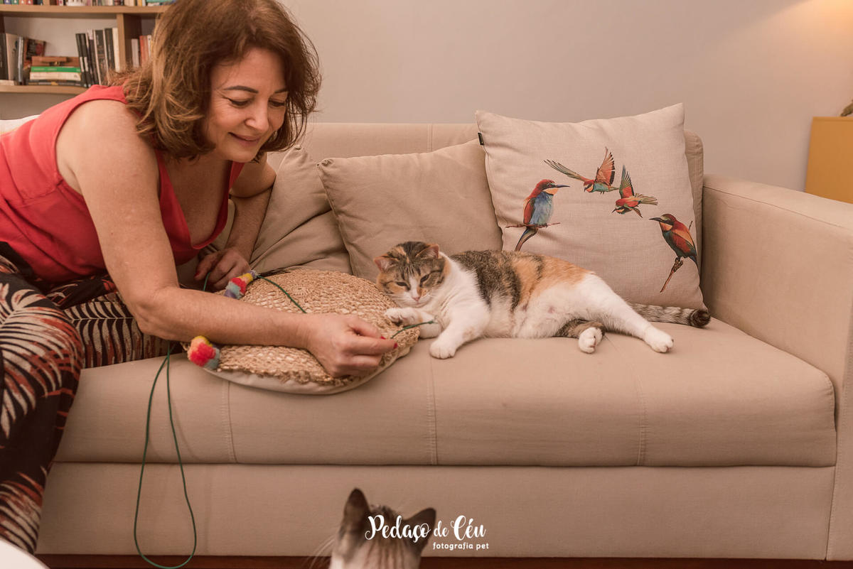 Ensaio pet com gatos