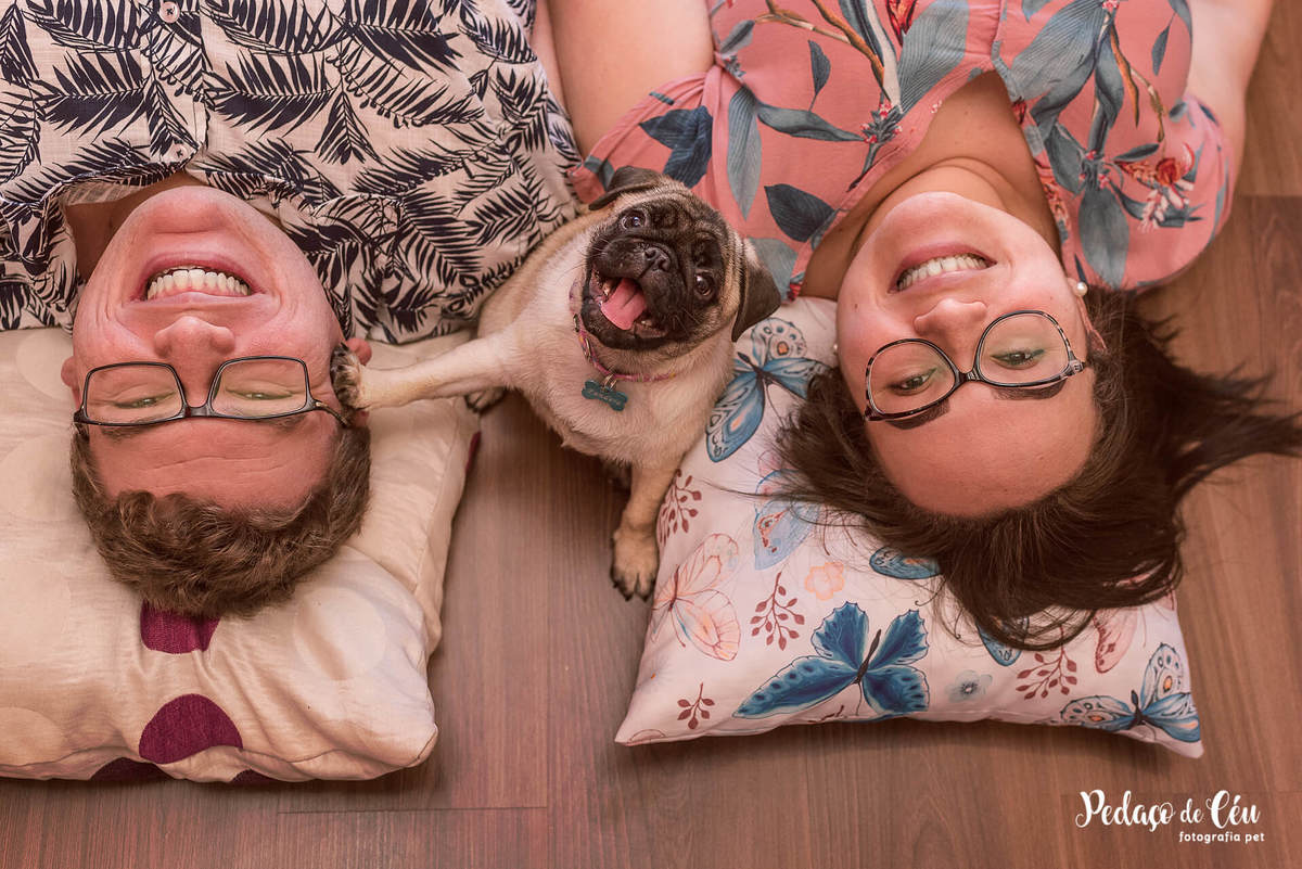 ensaio pet acompanhamento rj