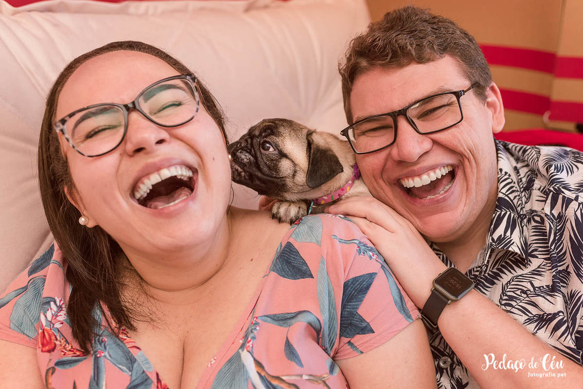 ensaio pet acompanhamento rj