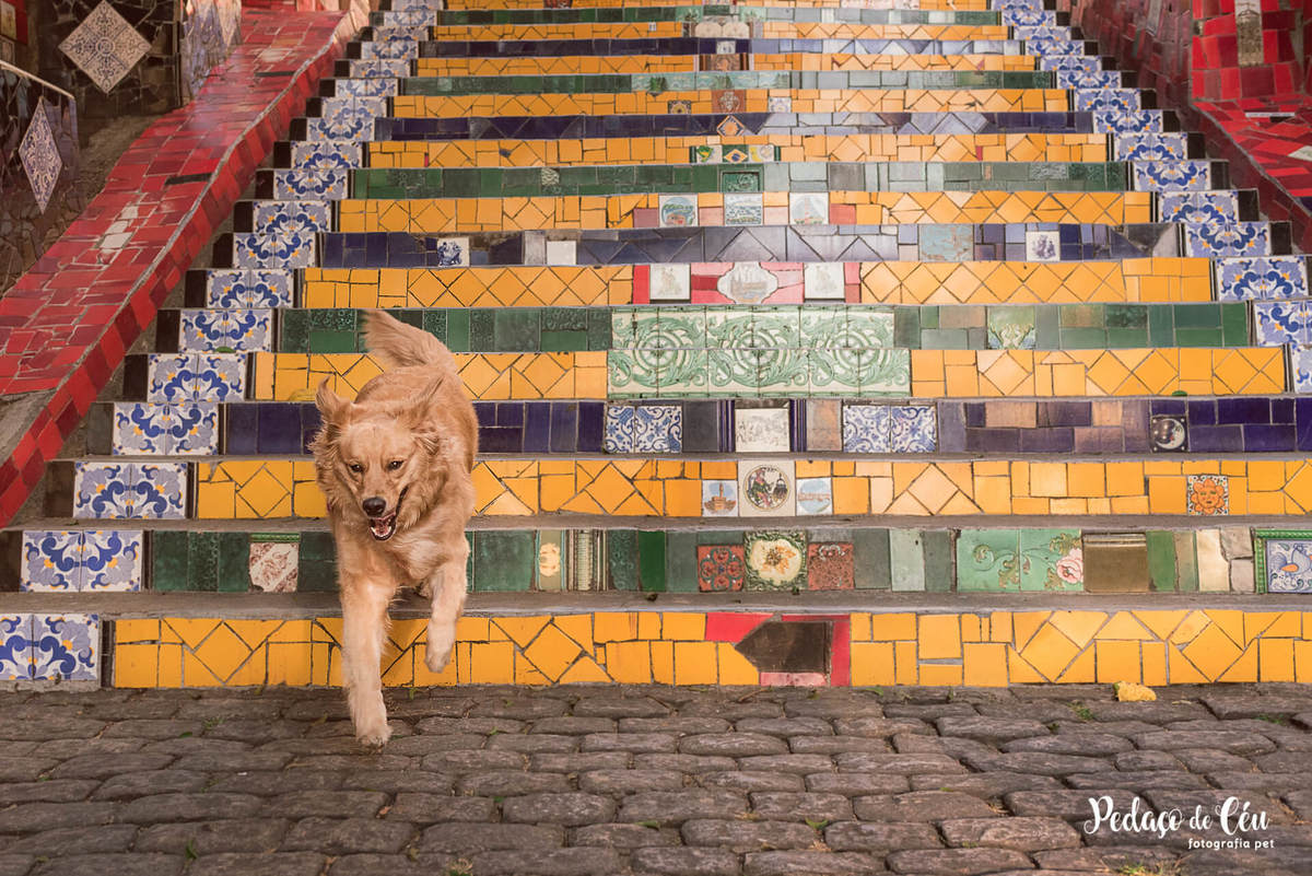 Ensaio pet escadaria selarón