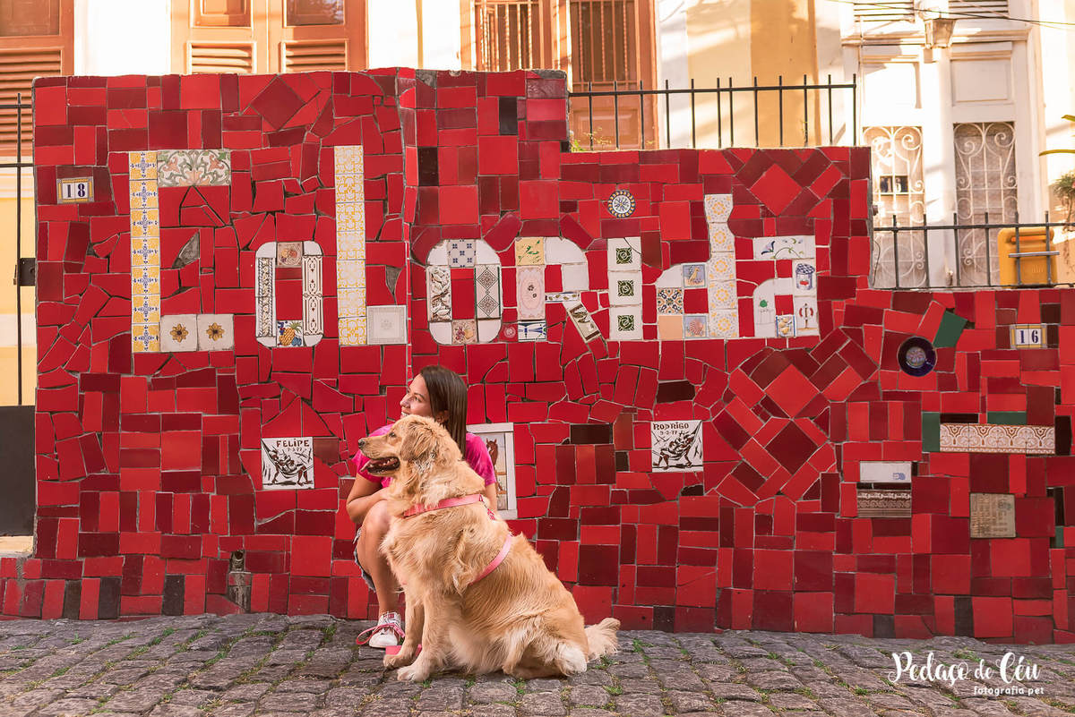 Ensaio pet golden escadaria selarón