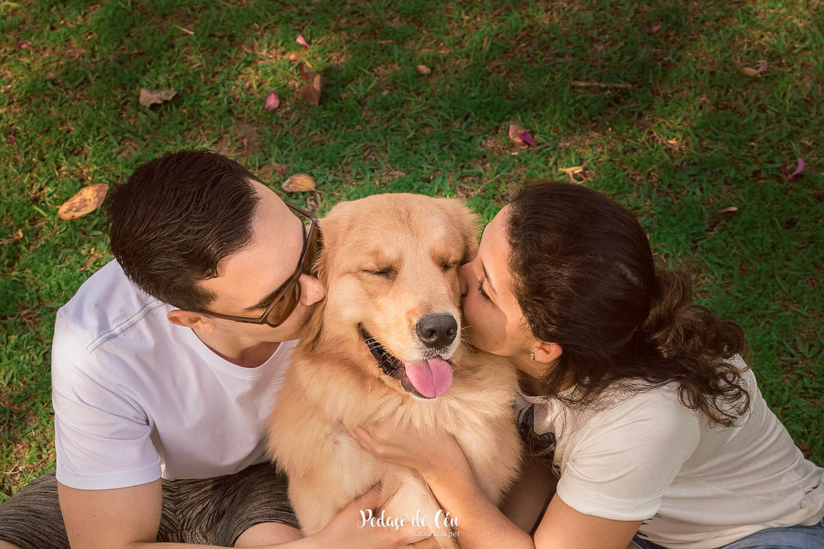 Ensaio pet acompanhamento Thor 12 meses - Aterro do Flamengo