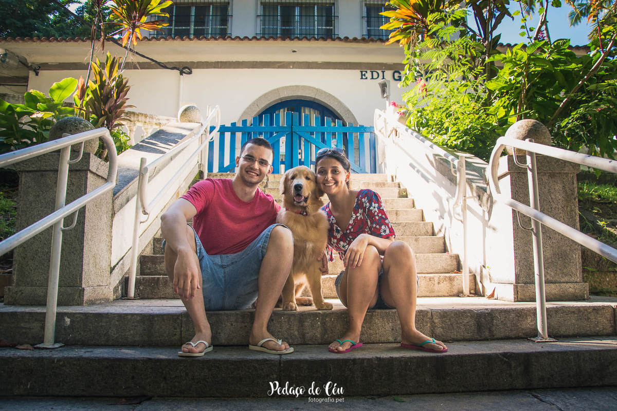 Ensaio pet acompanhamento Thor 6 meses - Urca