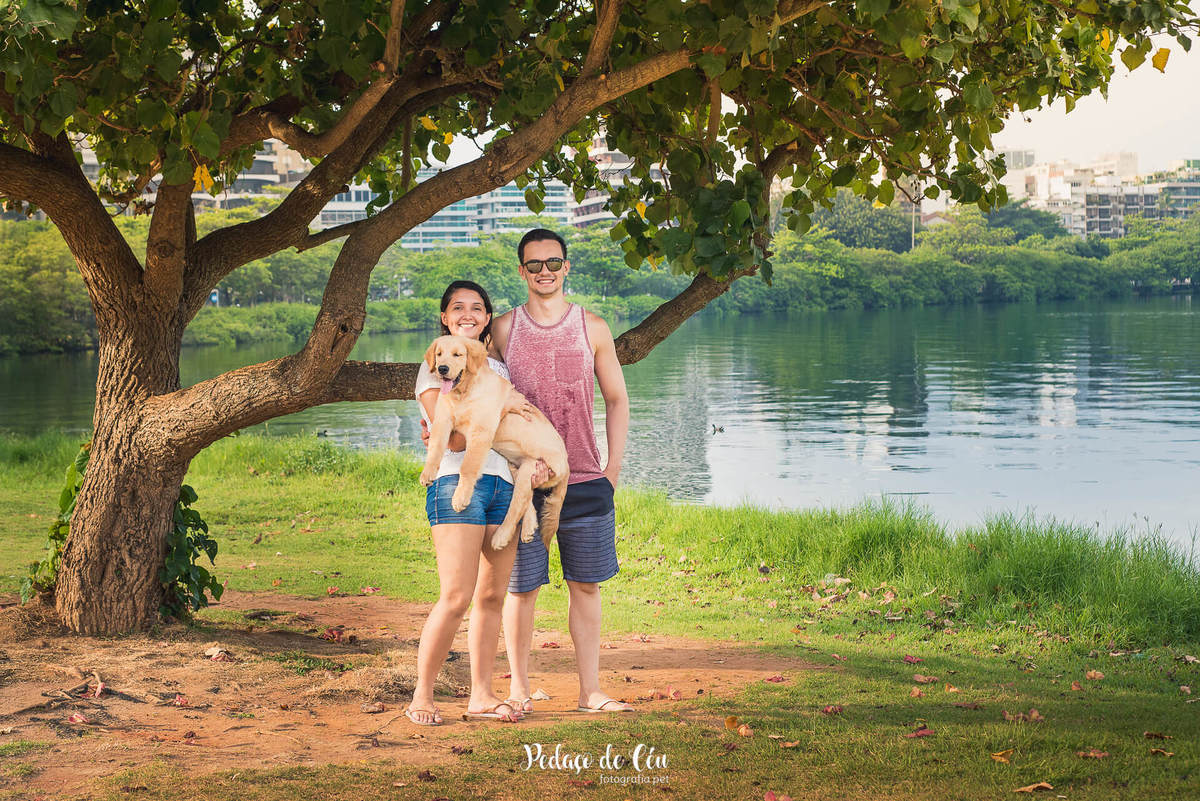 Ensaio pet acompanhamento Thor 4 meses - Lagoa Rodrigo de Freitas