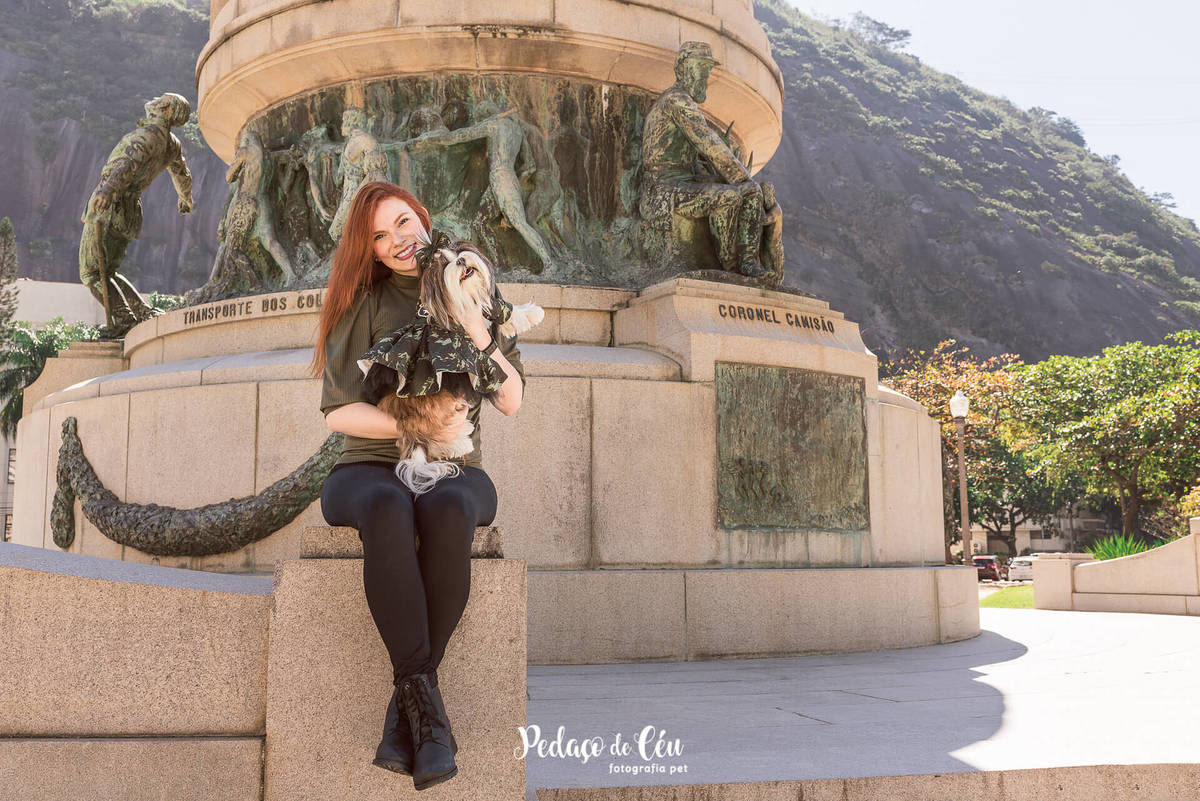 foto pet shihtzu rj