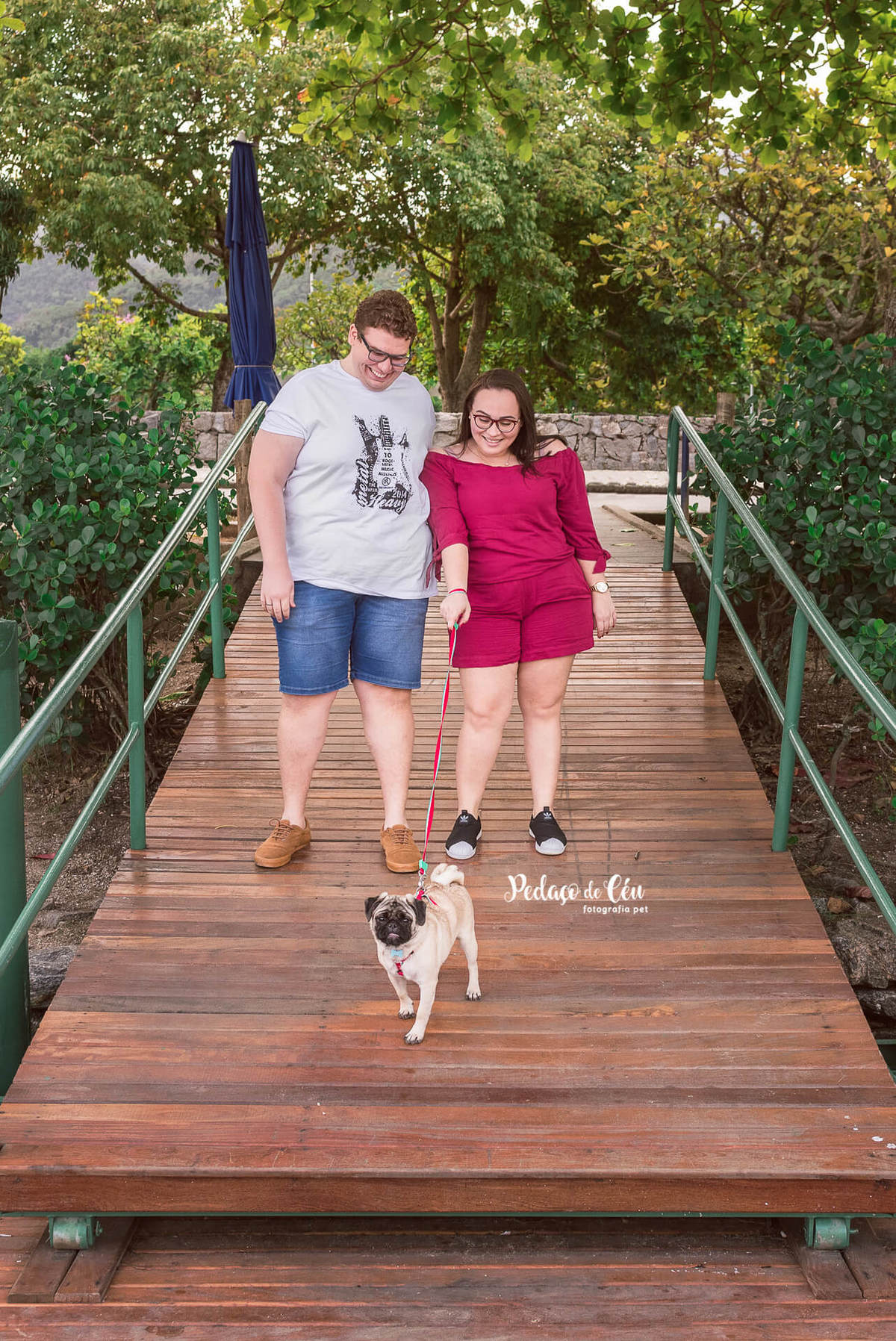 Foto Pet Acompanhamento Lagora Rodrigo de Freitas Rio de Janeiro