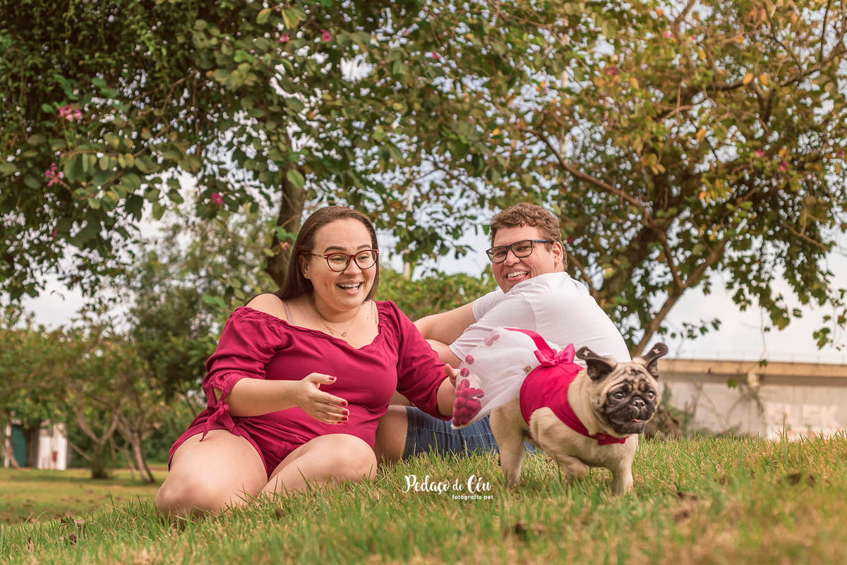 Foto Pet Acompanhamento Lagora Rodrigo de Freitas Rio de Janeiro