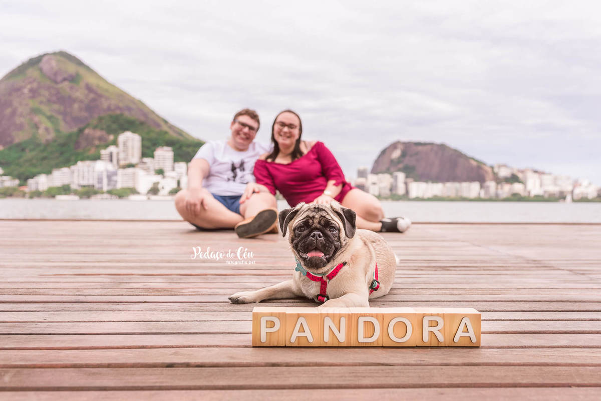 Foto Pet Acompanhamento Lagora Rodrigo de Freitas Rio de Janeiro