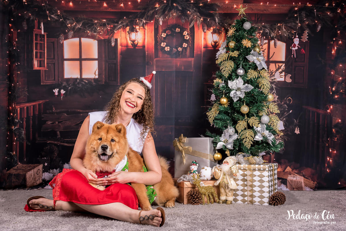 foto pet de natal família Rio de Janeiro