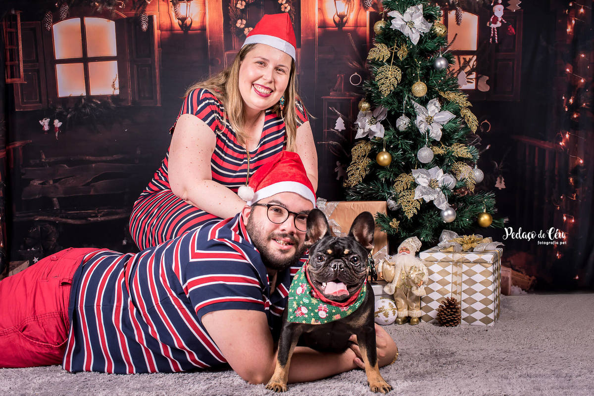 foto pet de natal família Rio de Janeiro