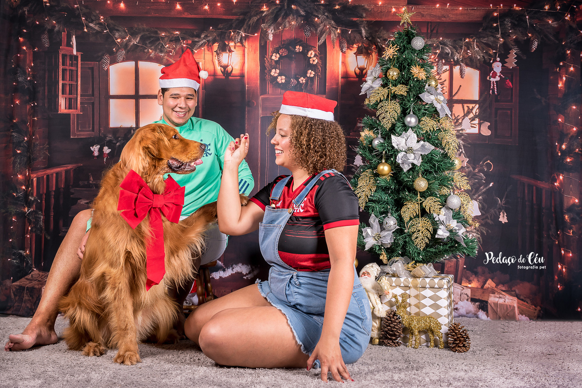 foto pet de natal família Rio de Janeiro