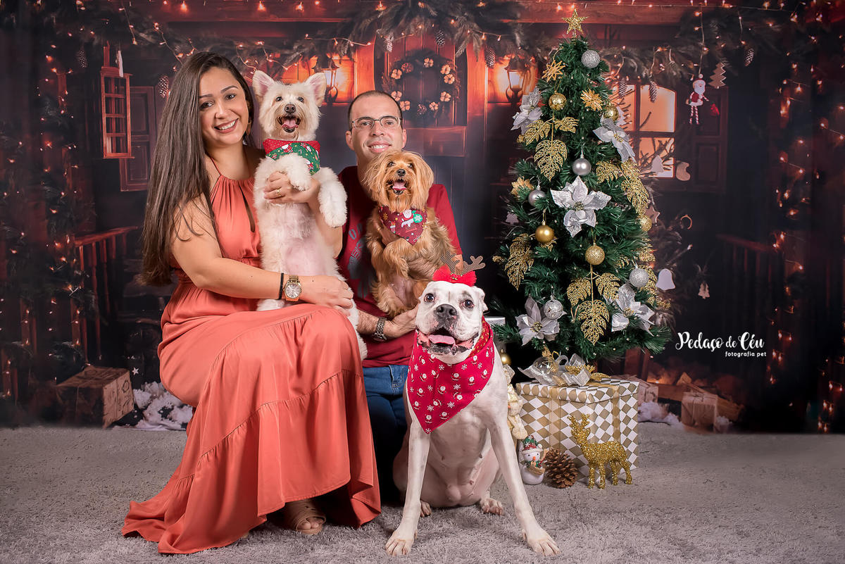 foto pet de natal família Rio de Janeiro