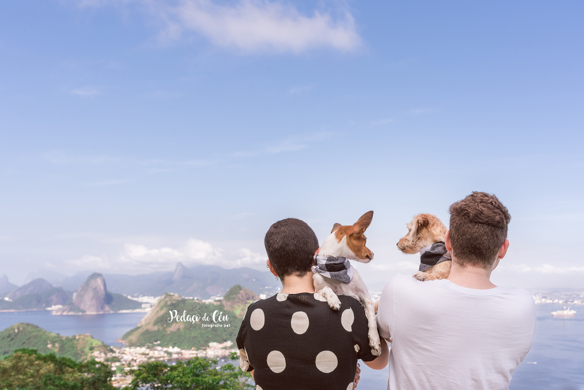 Ensaio acompanhamento pet e família