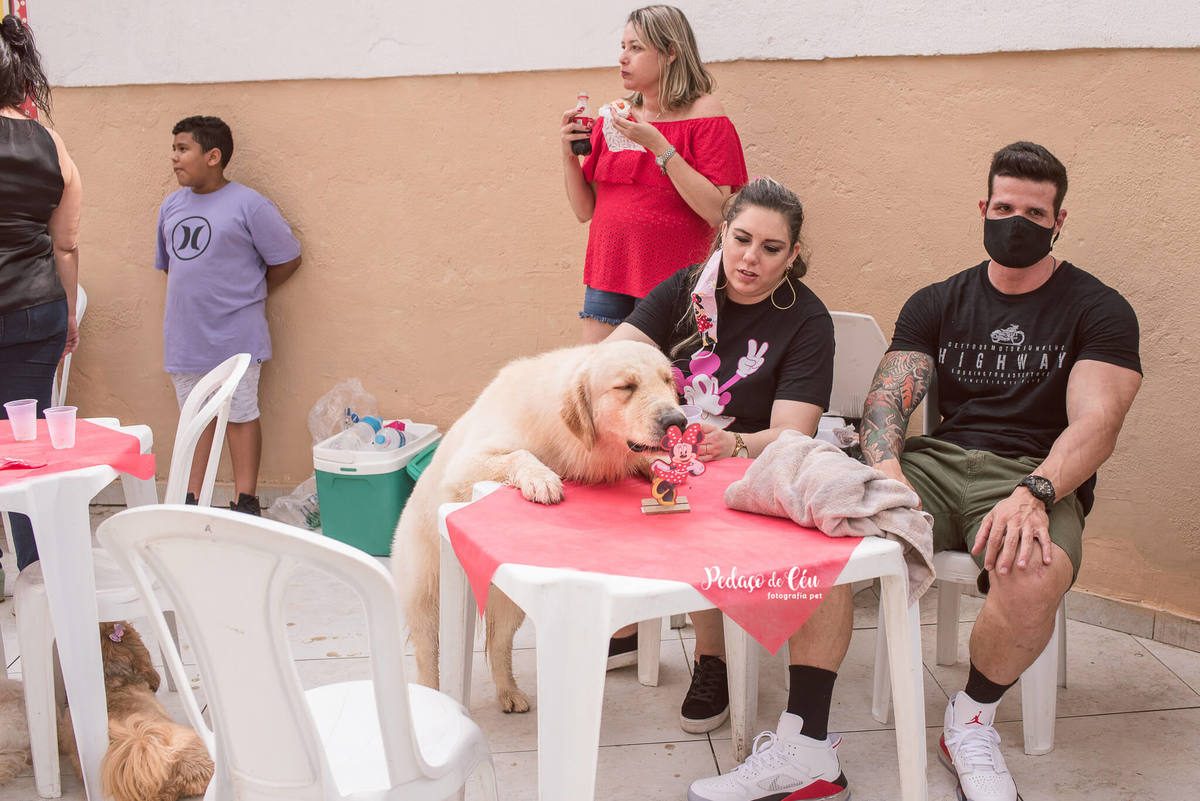 Aniversário pet Club Pet Barra