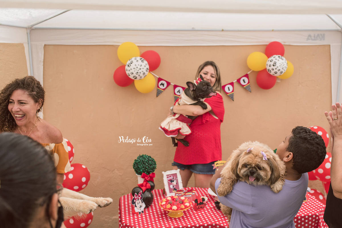 Aniversário pet Club Pet Barra