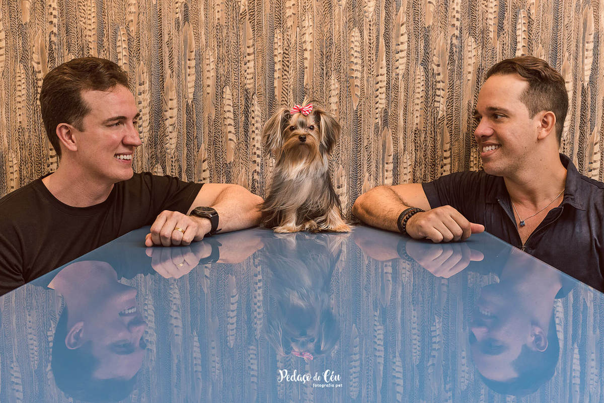 Ensaio Pet Família Lyara 