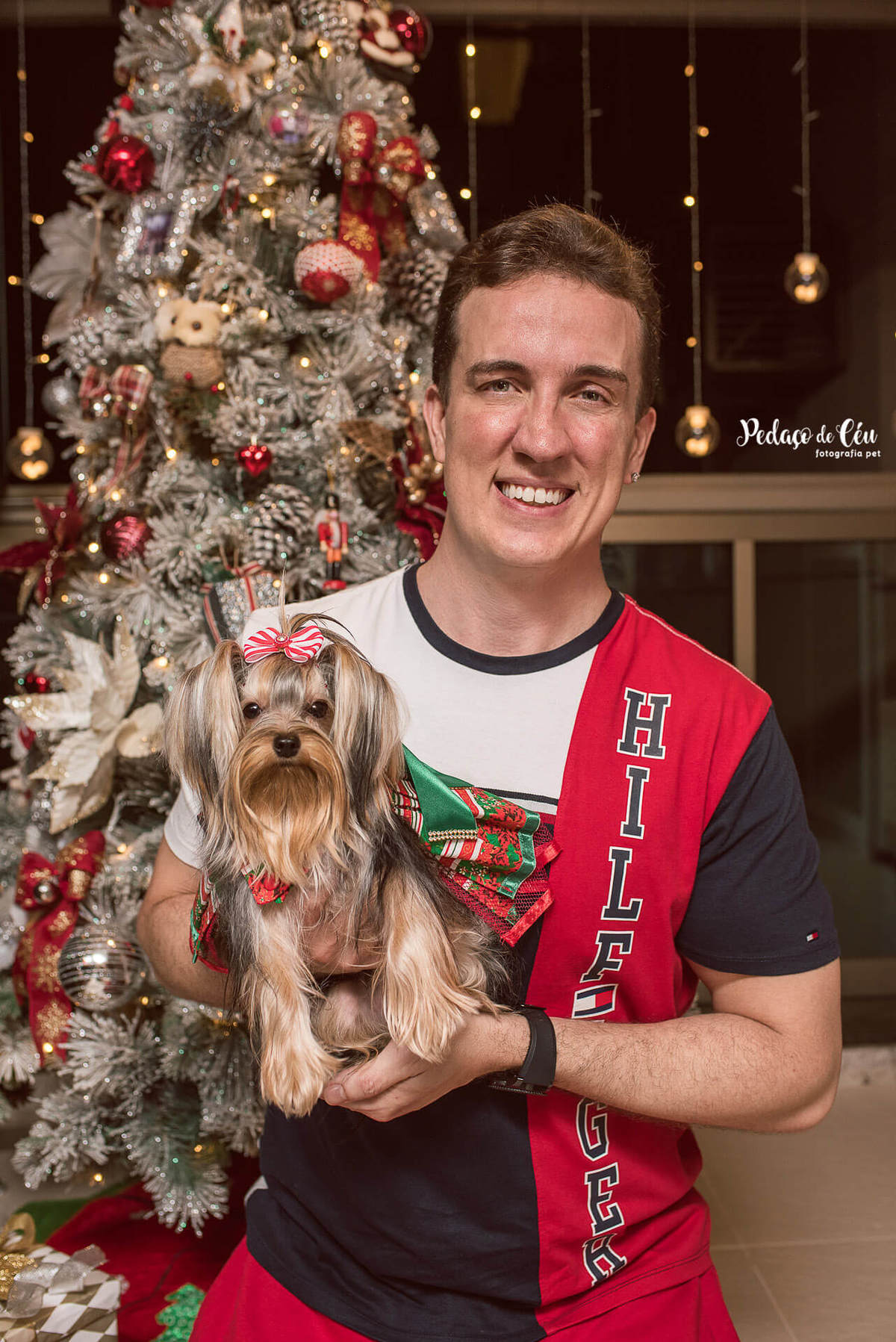 Natal Pet Família yorkshire Lyara 