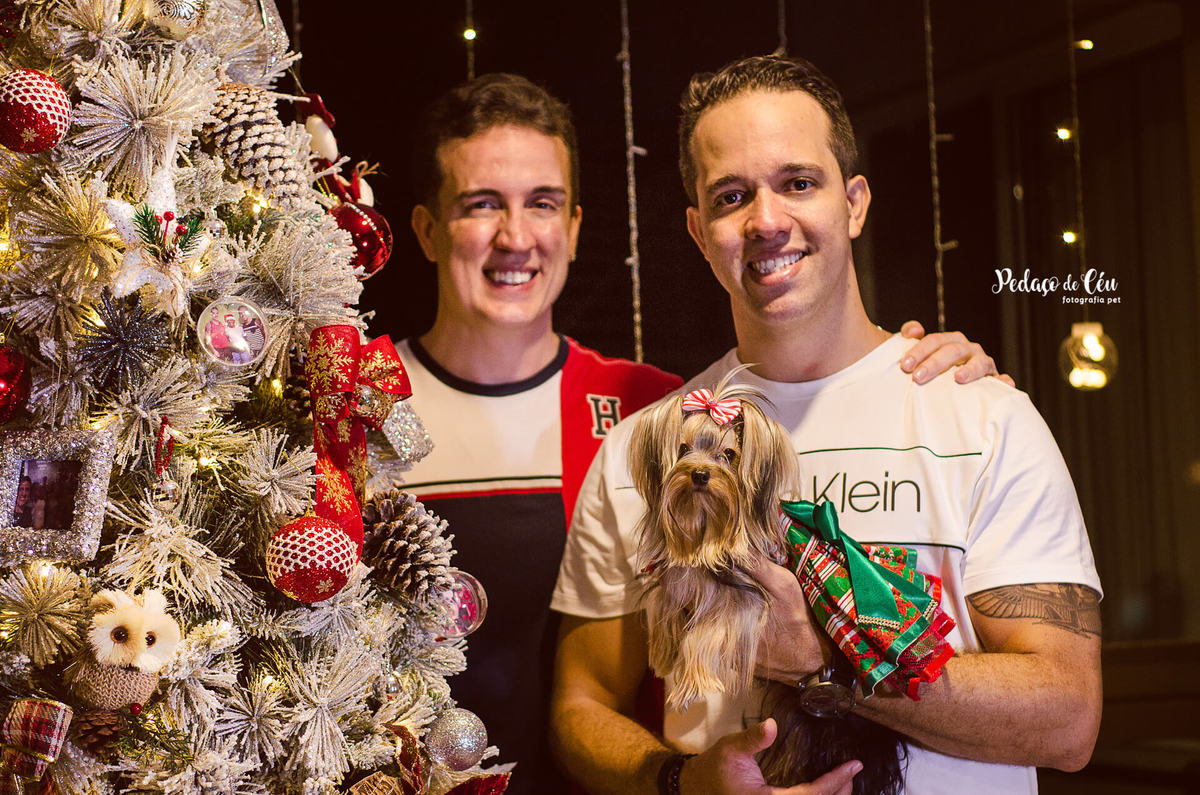 Natal Pet Família yorkshire Lyara 