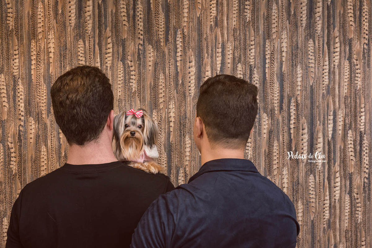 Ensaio Pet Família Lyara 