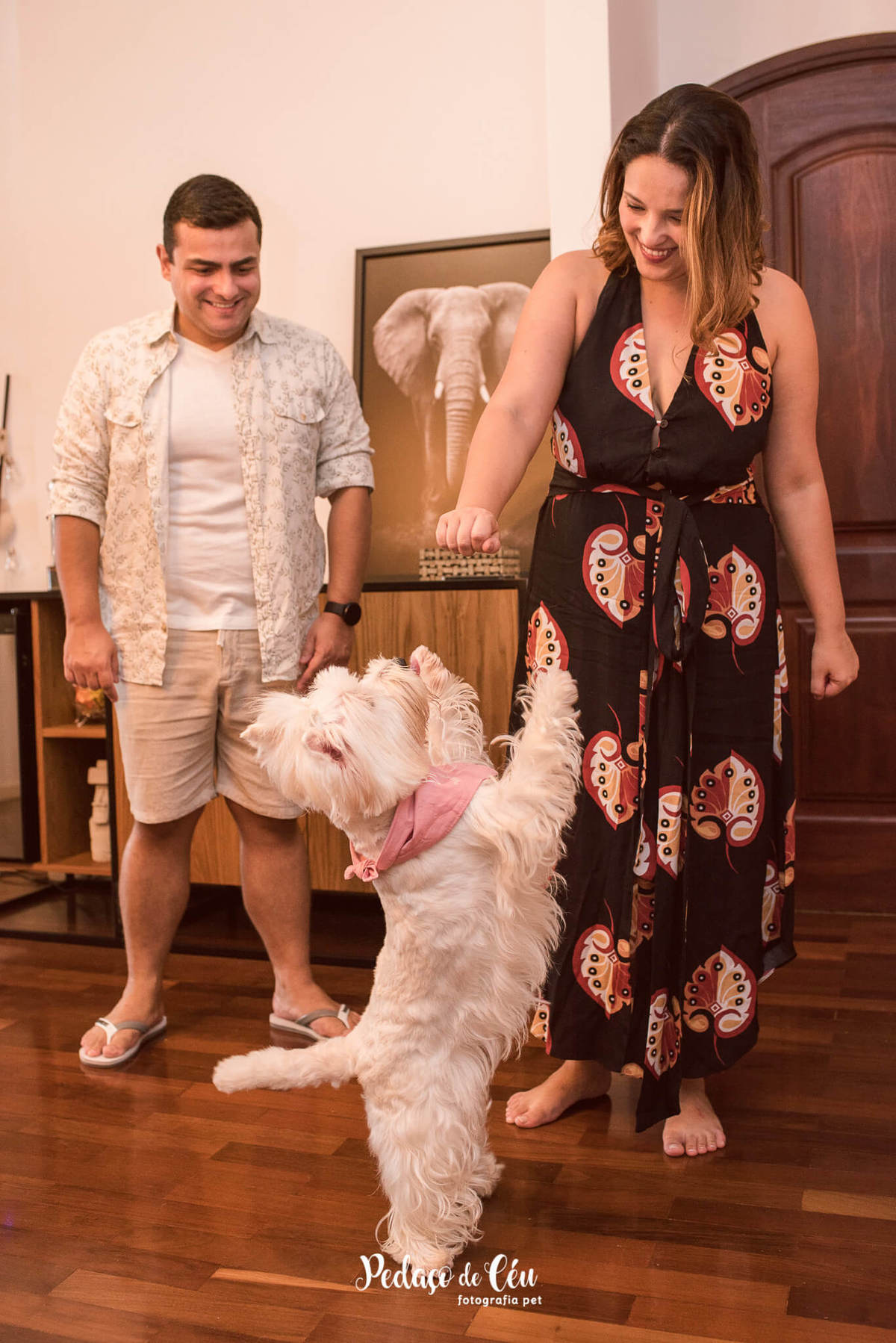 Ensaio Pet Família Jade