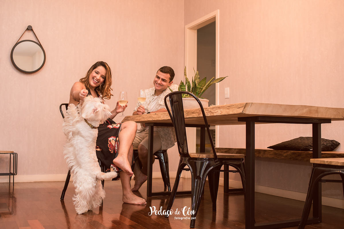 Ensaio Pet Família Jade