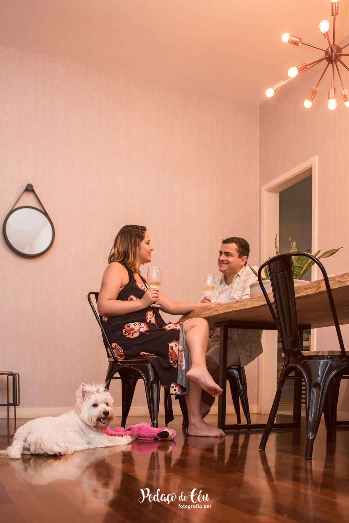 Ensaio Pet Família Jade