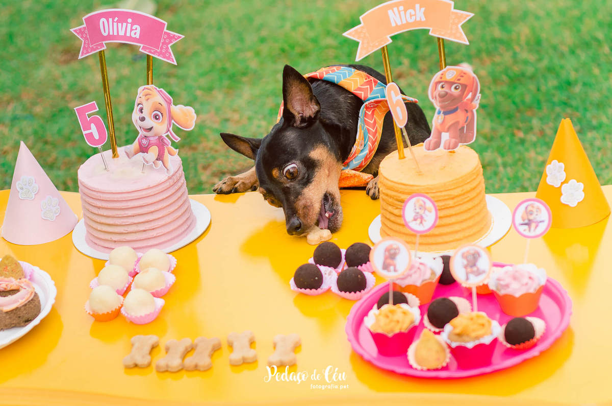 Smash the Cake Pet em família no Rio de Janeiro