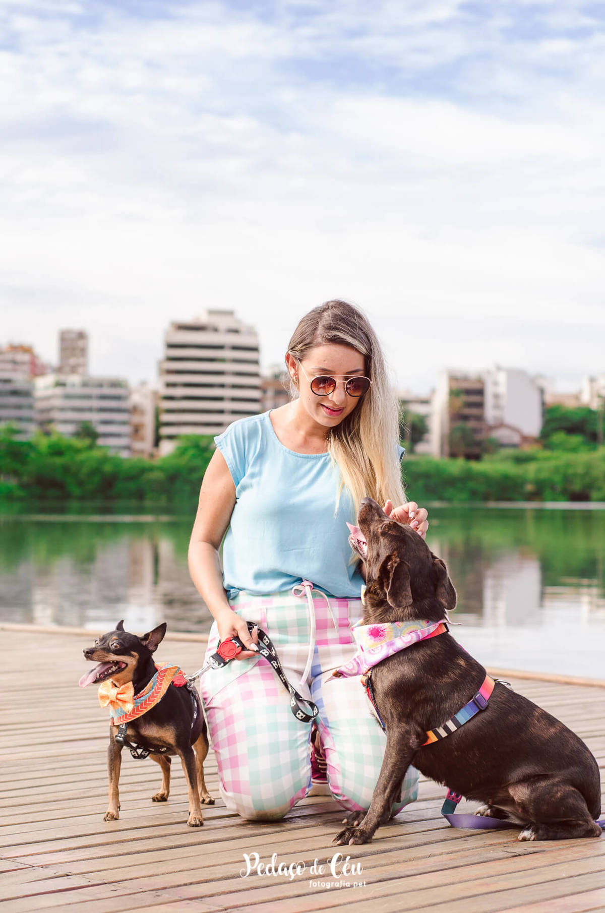 Foto Pet em família no Rio de Janeiro