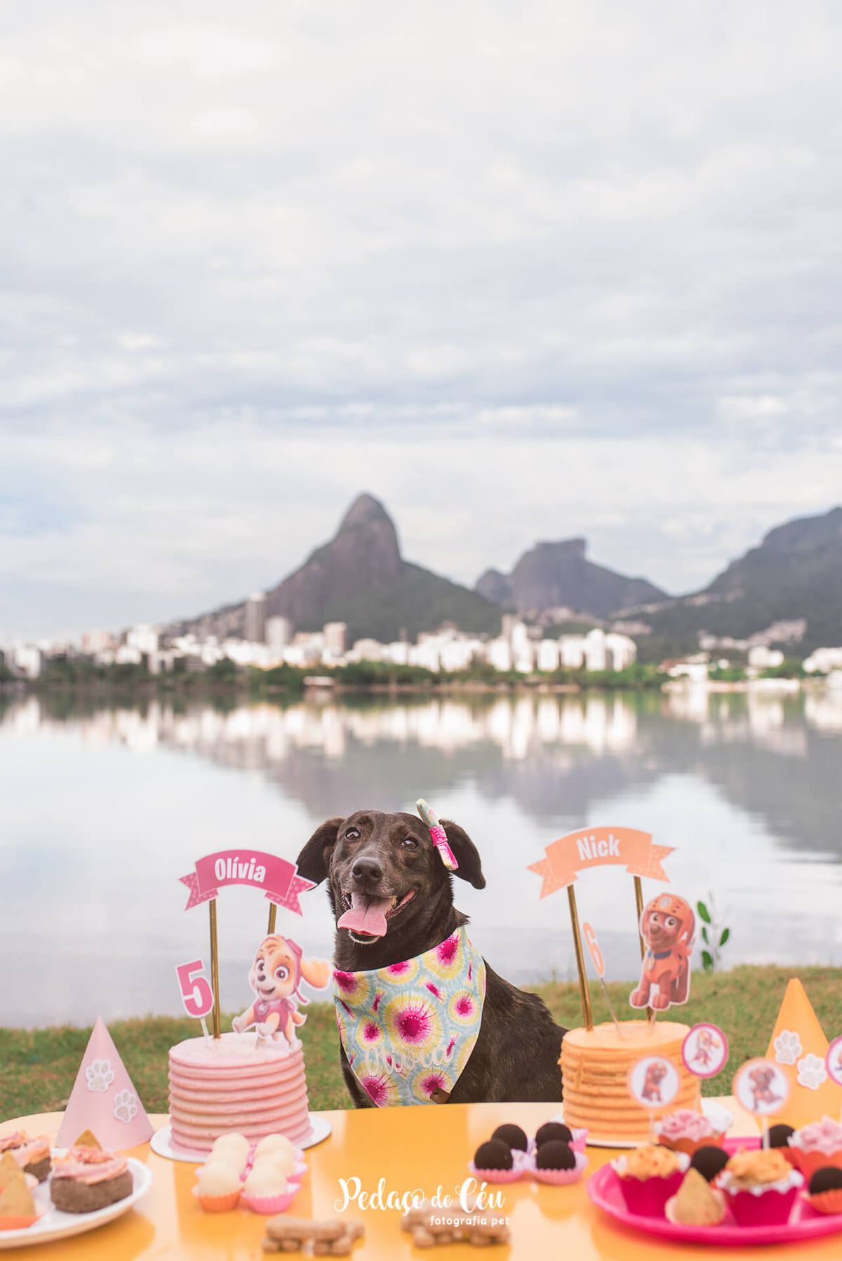 Smash the Cake Pet em família no Rio de Janeiro