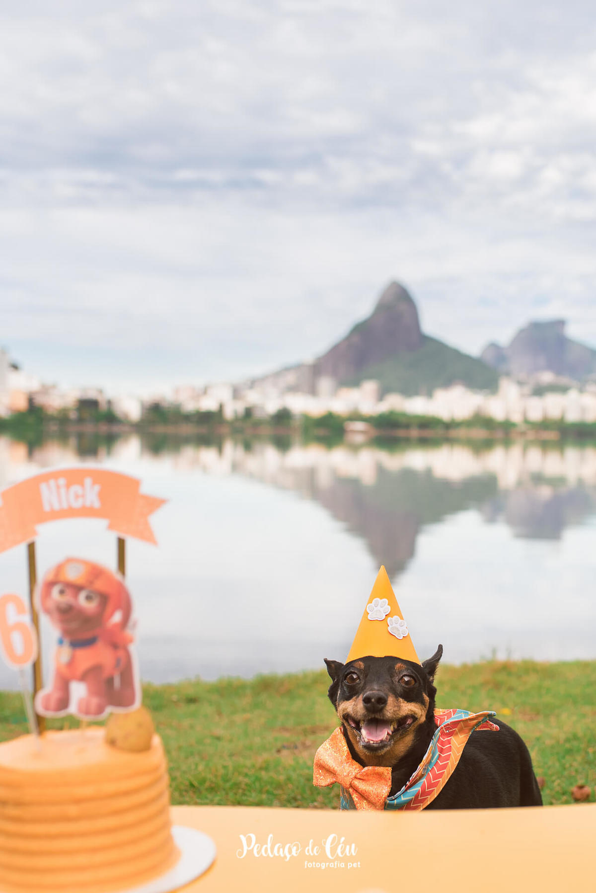 Smash the Cake Pet em família no Rio de Janeiro