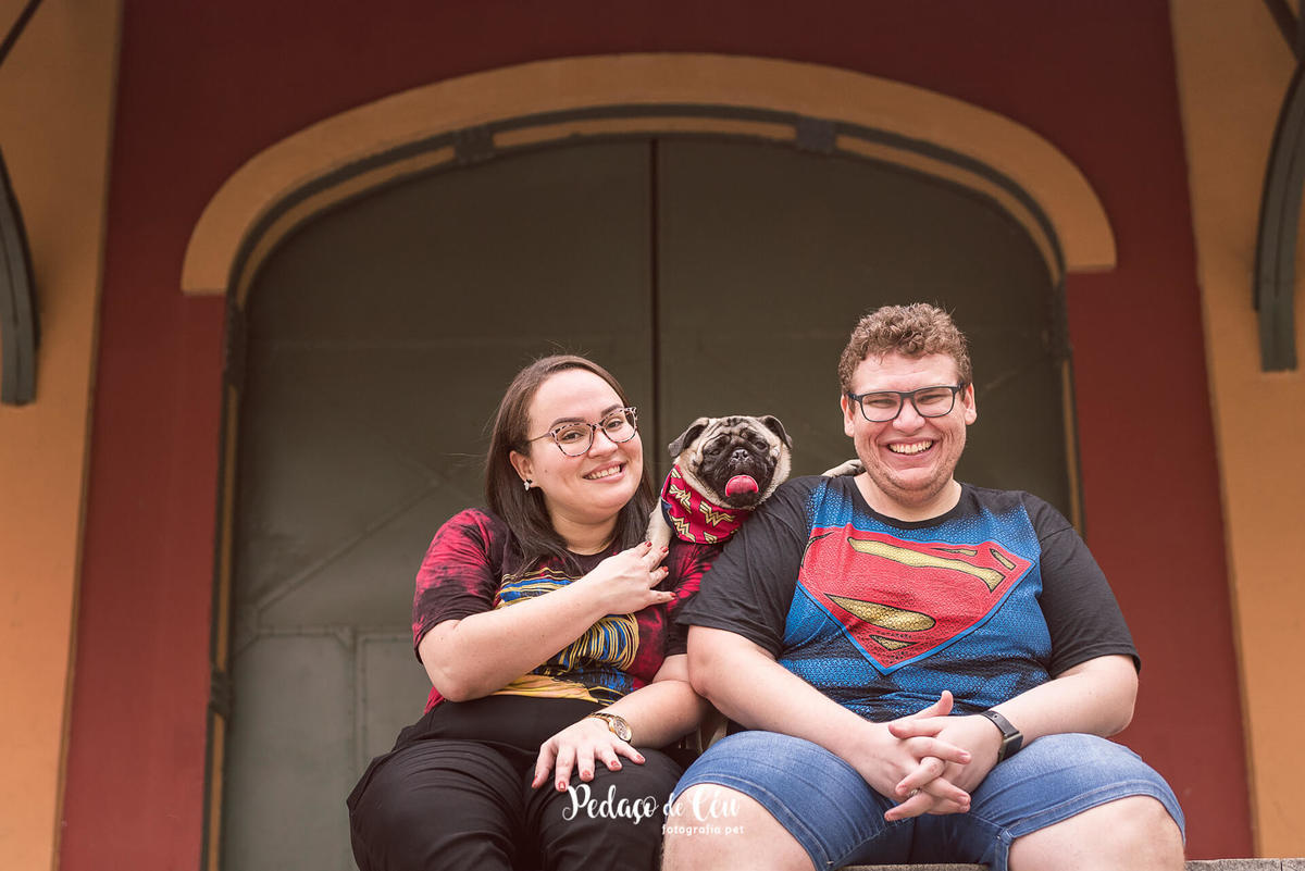 foto pet pug galpões Praça Mauá
