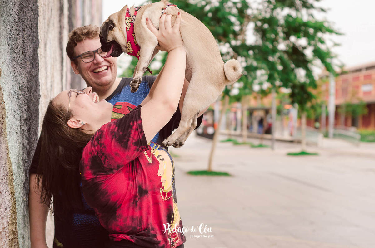 foto pet pug Kobra