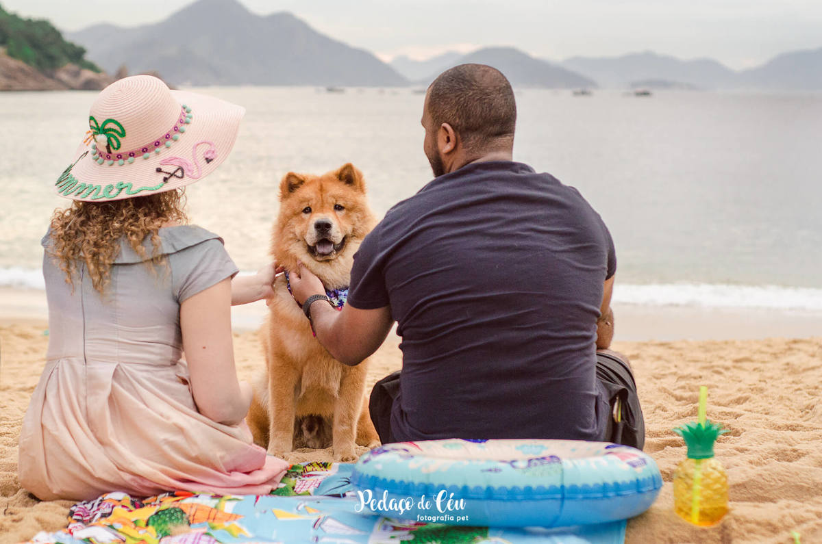 Ensaio Pet Chow Chow e família na Praia Vermelha RJ