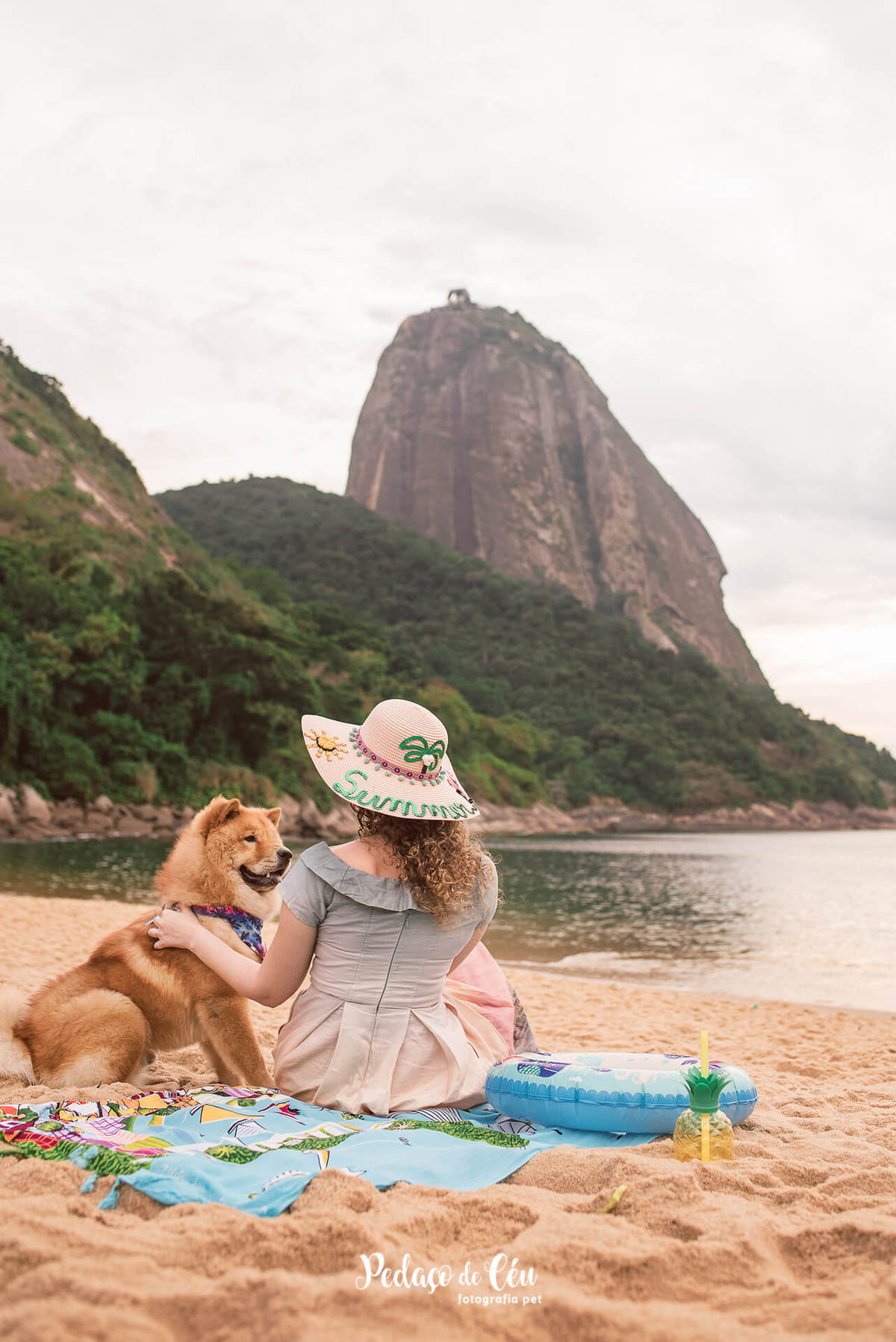 Ensaio Pet Chow Chow na Praia Vermelha RJ