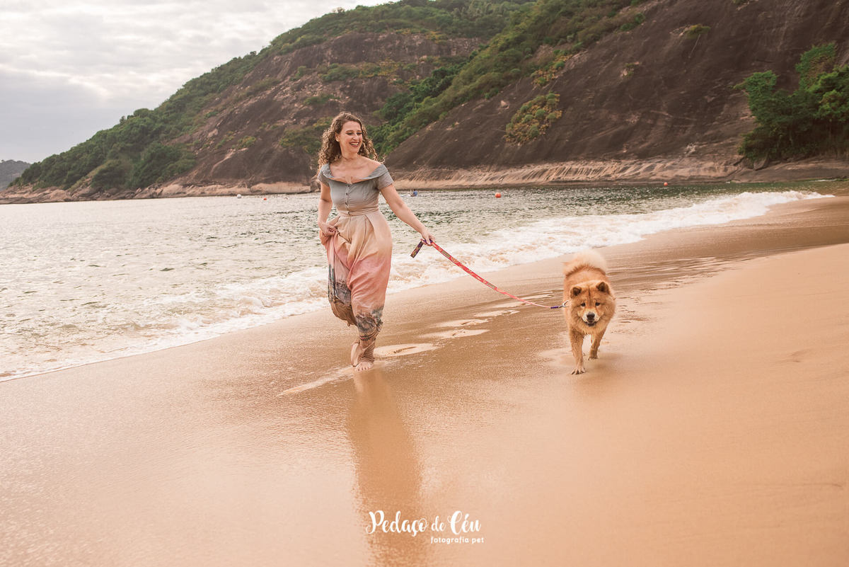 Ensaio Pet Chow Chow na Praia Vermelha RJ
