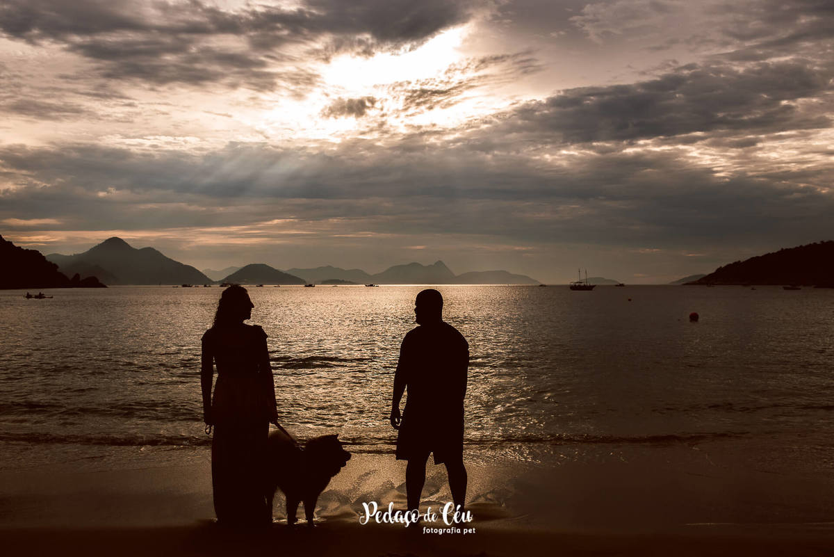 Ensaio Pet Chow Chow e família na Praia Vermelha RJ