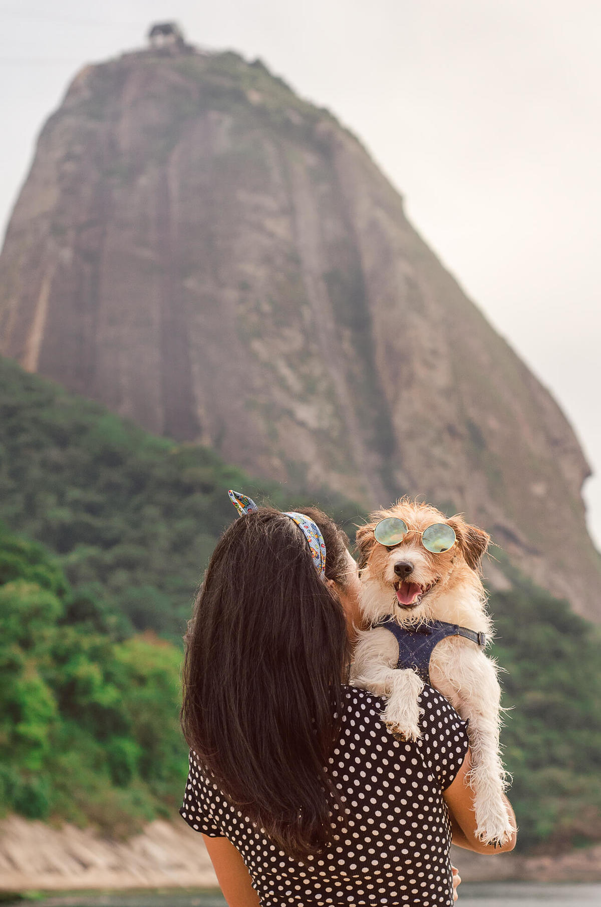 Ensaio Pet na Praia com jack russell terrier Bruce RJ
