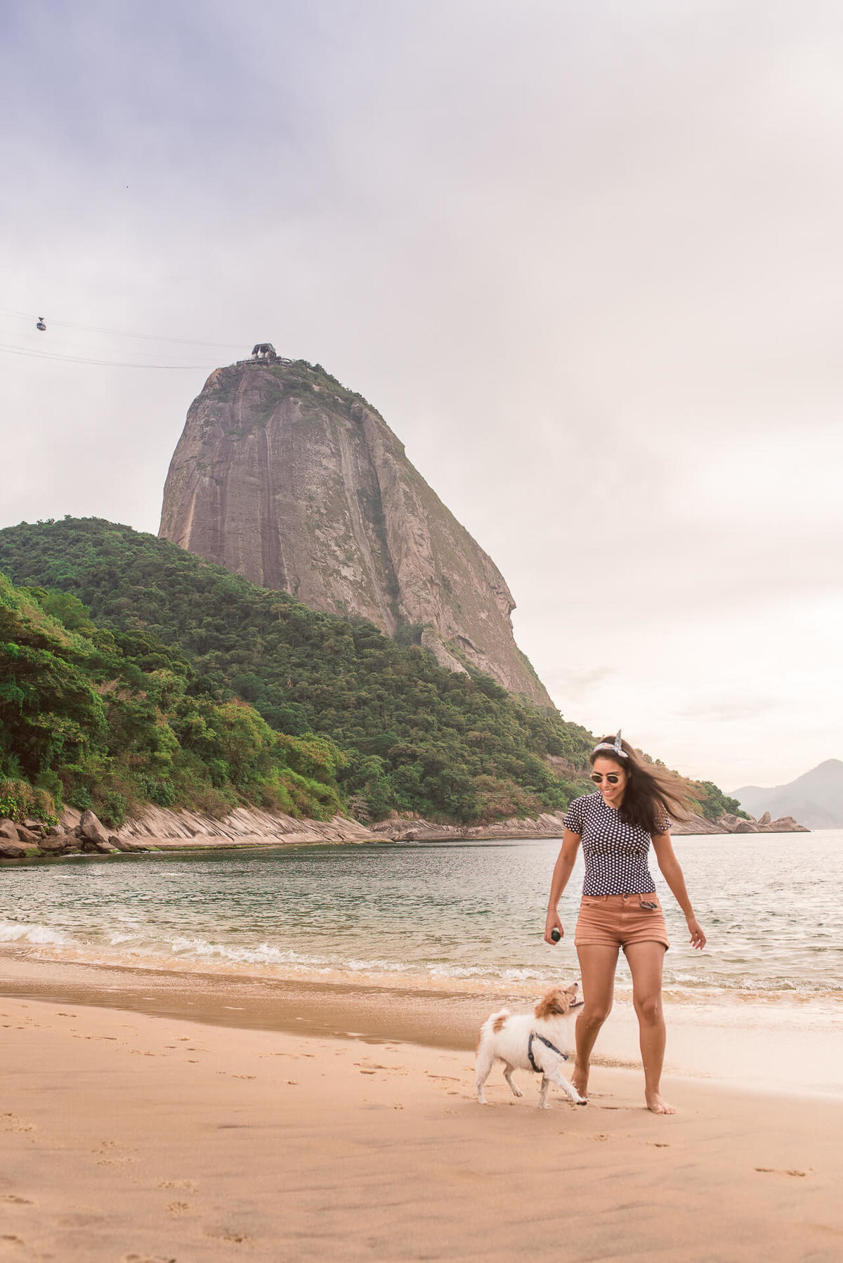 Ensaio Pet na Praia com jack russell terrier Bruce RJ