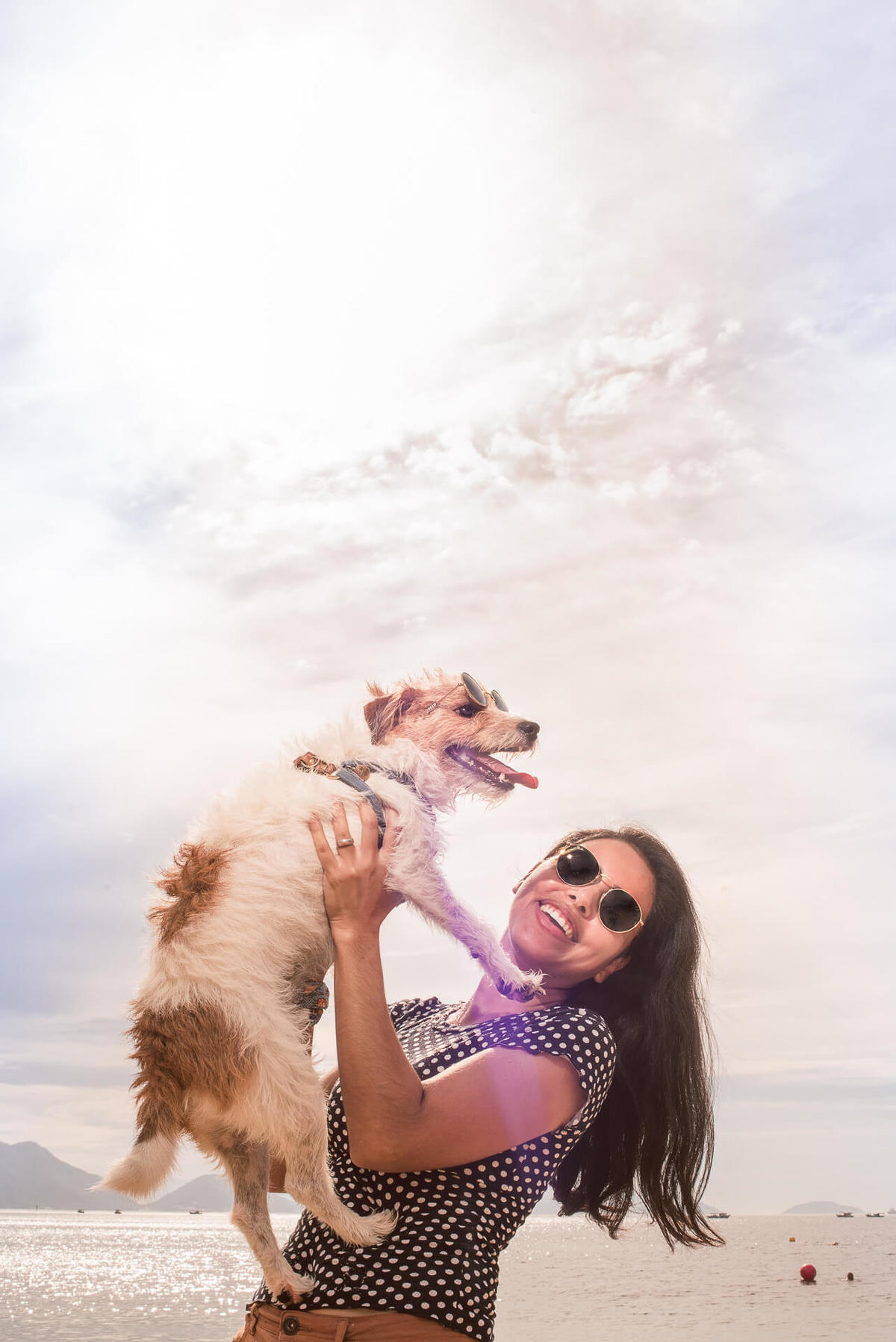 Ensaio Pet na Praia em famíla com jack russell terrier Bruce RJ
